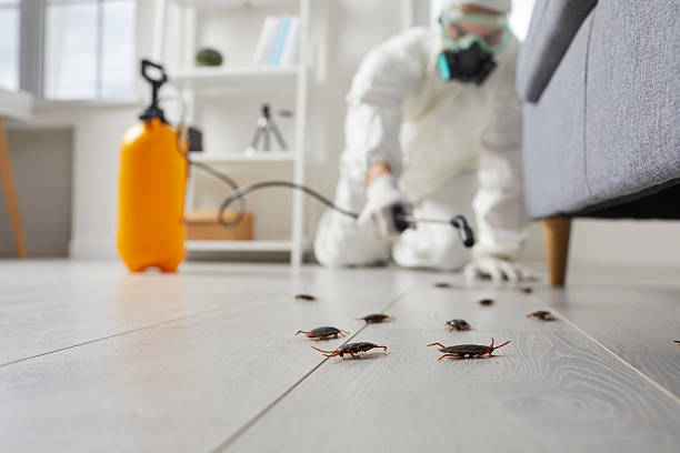 Commercial Kitchen Cockroach Control in Mars Hill